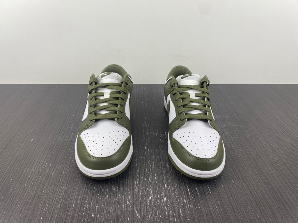 Dunk Low DD1503-120